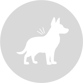 Condición sobrepeso