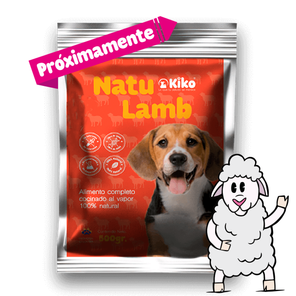 Comida 100% Natural para Perros